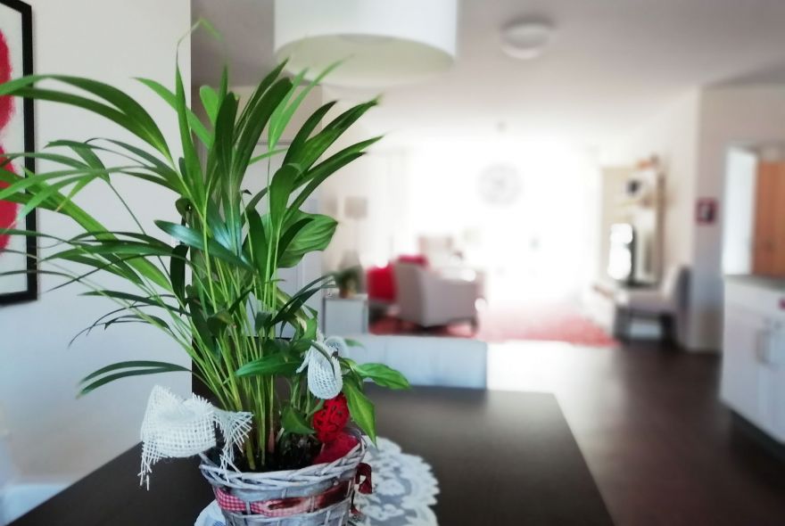 Sicher &amp; Geborgen zu Hause bleiben